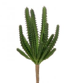 1 Mr Plant Mr Plant - Konstgjord Succulent 20 cm