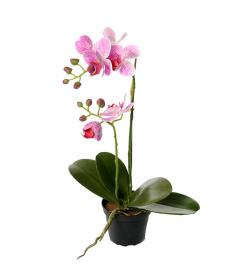 1 Mr Plant Konstgjord Phalaenopsis 45 cm Dammiglila