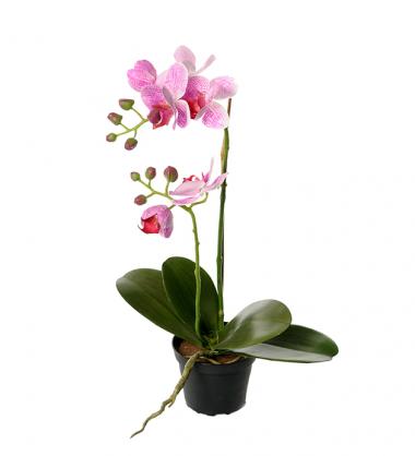 Mr Plant Mr Plant - Konstgjord Phalaenopsis 45 cm Dammiglila