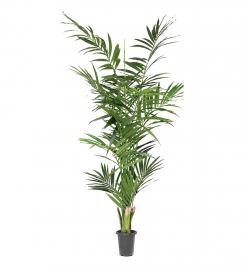 1 Mr Plant Konstgjord Kentia Palm 210 cm 2-pack