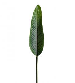 1 Mr Plant Mr Plant - Konstgjord Strelitzia blad 80 cm