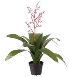 1 Mr Plant Mr Plant - Konstgjord Bromelia 40 cm