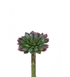 1 Mr Plant Mr Plant - Konstgjord Succulent 10 cm