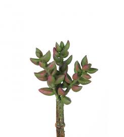 1 Mr Plant Konstgjord Succulent 10 cm