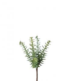 1 Mr Plant Konstgjord Succulent 18 cm