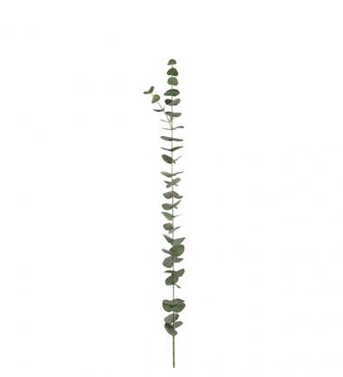 Mr Plant Mr Plant - Konstgjord Eucalyptus. 120 cm