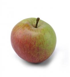 1 Mr Plant Konstgjord Äpple