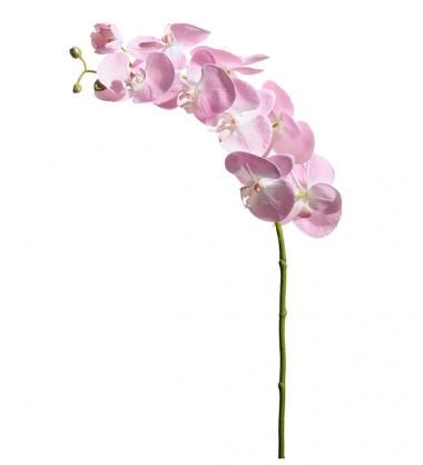Mr Plant Mr Plant - Konstgjord Orkidstjlk Phalaenopsis 75 cm
