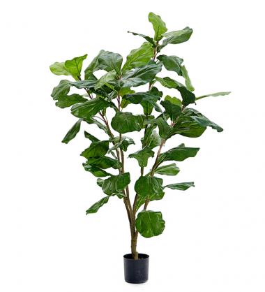Mr Plant Mr Plant - Konstgjord Fiolfikus 120 cm 2-pack
