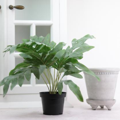 Mr Plant Mr Plant - Konstgjord Ormbunke 30 cm