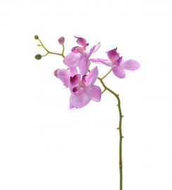 1 Mr Plant Mr Plant - Konstgjord Orkidéstjälk Phalaenopsis 28 cm