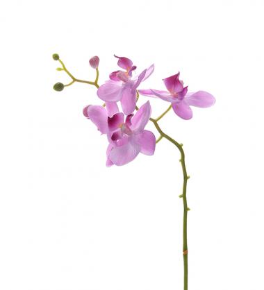 Mr Plant Mr Plant - Konstgjord Orkidstjlk Phalaenopsis 28 cm