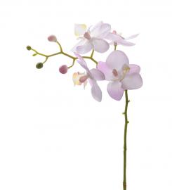 Mr Plant Mr Plant - Konstgjord Orkidéstjälk Phalaenopsis 28 cm