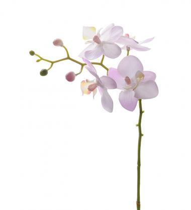 Mr Plant Mr Plant - Konstgjord Orkidstjlk Phalaenopsis 28 cm