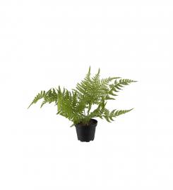Mr Plant Mr Plant - Konstgjord Asparagus 25 cm