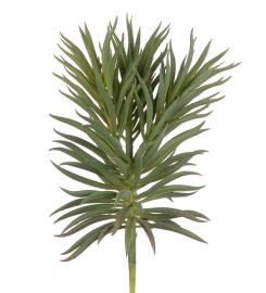 1 Mr Plant Konstgjord Succulent 24 cm