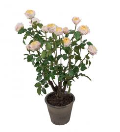 1 Mr Plant Konstgjord Ros. 125 cm Ljusrosa/gul