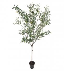 1 Mr Plant Konstgjord Oliv 230 cm