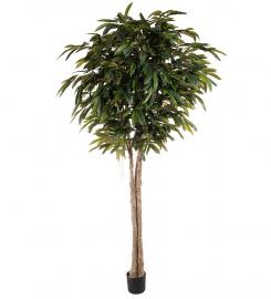 1 Mr Plant Konstgjord Longifolia 260 cm