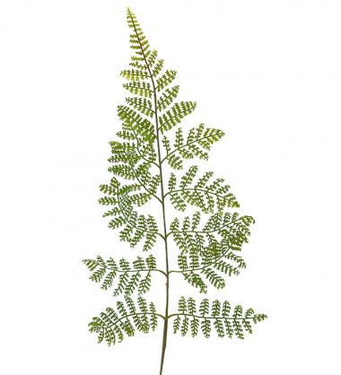 Mr Plant Mr Plant - Konstgjord Ormbunksblad 60 cm