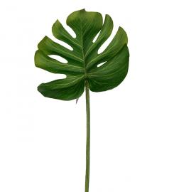 1 Mr Plant Mr Plant - Konstgjord Monstera blad 25 cm