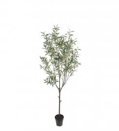 1 Mr Plant Konstgjord Oliv 200 cm