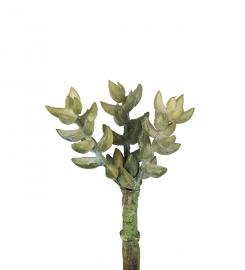 Mr Plant Mr Plant - Konstgjord Succulent 10 cm