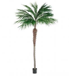 1 Mr Plant Konstgjord Palm Phoenix 300 cm 2-pack