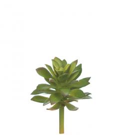 1 Mr Plant Mr Plant - Konstgjord Echeveria 6 cm