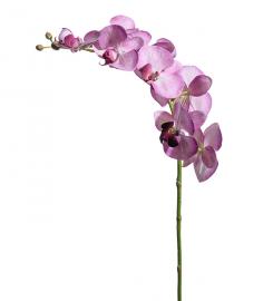 1 Mr Plant Konstgjord Orkidéstjälk Phalaenopsis 75 cm