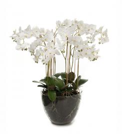 1 Mr Plant Konstgjord Phalaenopsis 90 cm