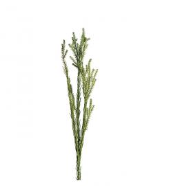 1 Mr Plant Konstgjord Kvist 55 cm