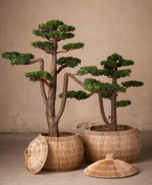 1 Mr Plant Konstgjord Bonsai 125 cm