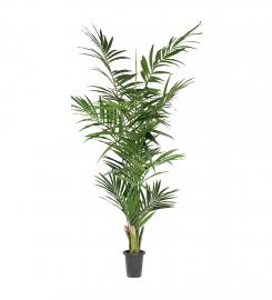 1 Mr Plant Konstgjord Kentia Palm 240 cm 2-pack