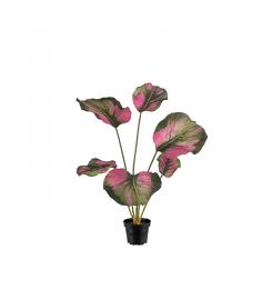 1 Mr Plant Mr Plant - Konstgjord Calathea 55 cm