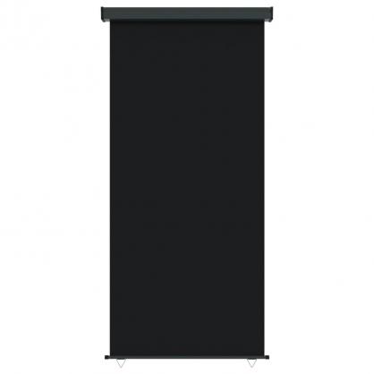 1 VidaXL Balkongmarkis 122x250 cm svart