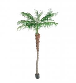 1 Mr Plant Konstgjord Palm Phoenix 240 cm 2-pack