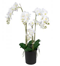 1 Mr Plant Konstgjord Phalaenopsis .130 cm