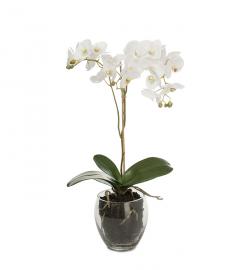 1 Mr Plant Konstgjord Phalaenopsis 65 cm
