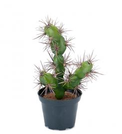 1 Mr Plant Mr Plant - Konstgjord Kaktus 20 cm