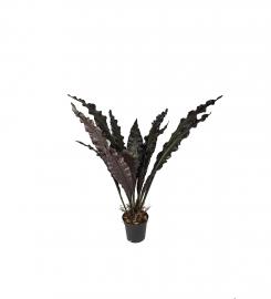 1 Mr Plant Konstgjord Anthurium 130 cm