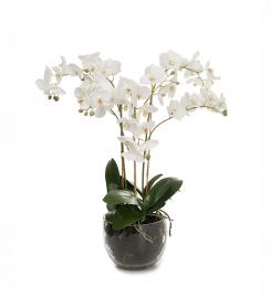 1 Mr Plant Konstgjord Phalaenopsis 70 cm