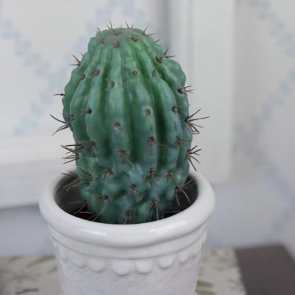 Mr Plant Mr Plant - Konstgjord Kaktus 18 cm
