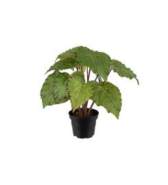 1 Mr Plant Mr Plant - Konstgjord Rexbegonia 30 cm