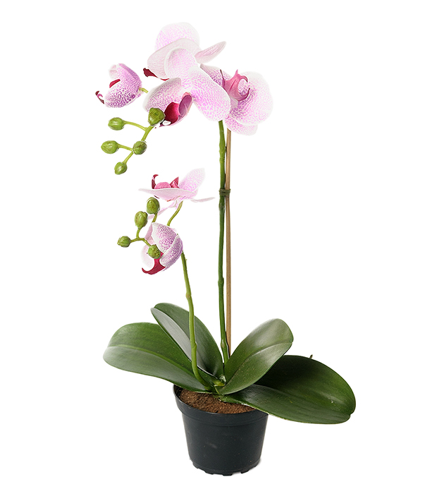Mr Plant Mr Plant - Konstgjord Phalaenopsis 45 cm Duslila