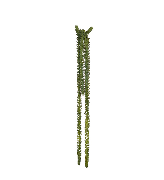 Mr Plant Mr Plant - Konstgjord Succulent 50 cm