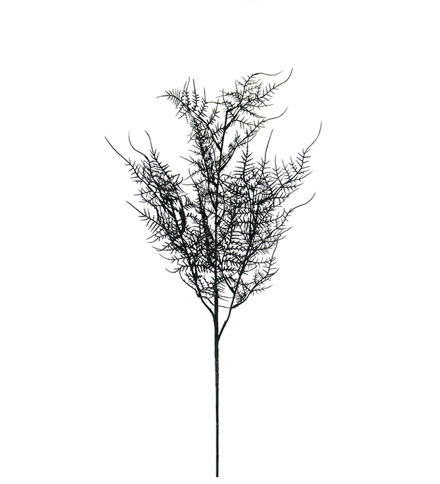 Mr Plant Mr Plant - Konstgjord Plumosus 70 cm