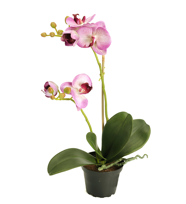 Mr Plant Mr Plant - Konstgjord Phalaenopsis 45 cm Ljuslila