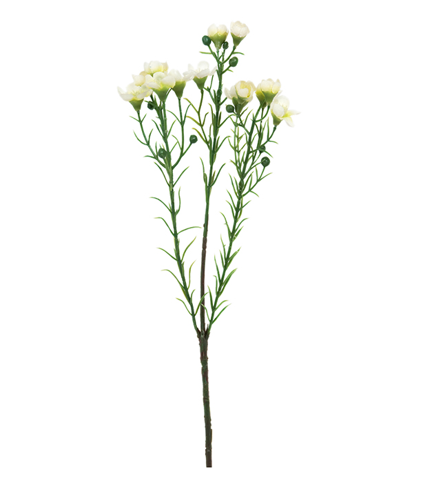 Mr Plant Mr Plant - Konstgjord Vaxblomma 40 cm