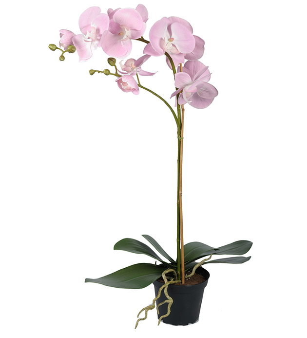 Mr Plant Mr Plant - Konstgjord Phalaenopsis 60 cm Rosa